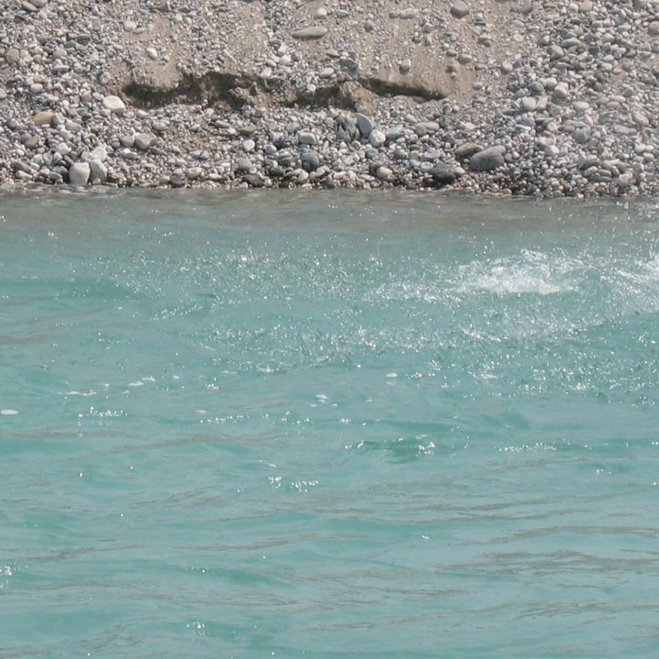 115.jpg