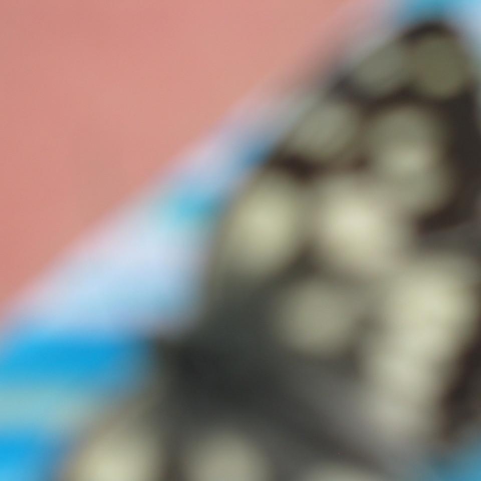 169.jpg