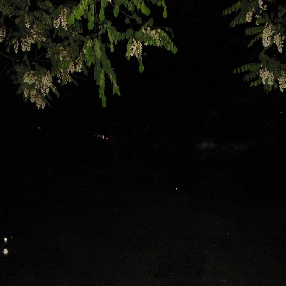 130.JPG
