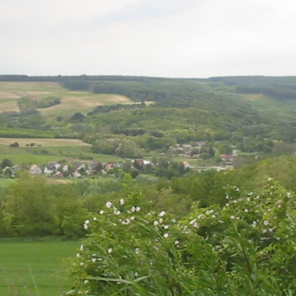 141.JPG