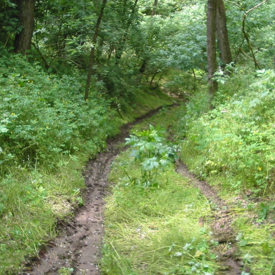 158.JPG