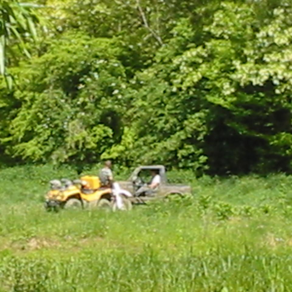 165.JPG