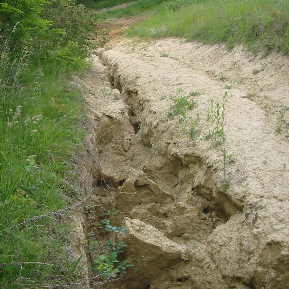 178.JPG