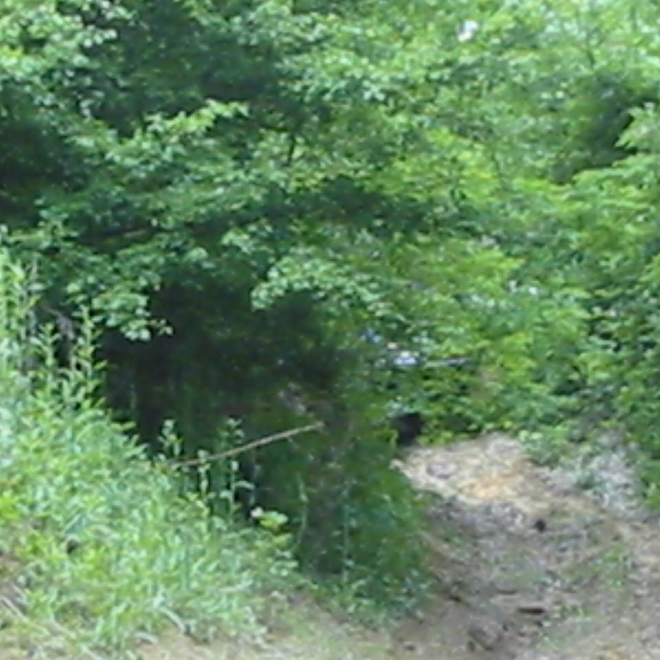 198.JPG