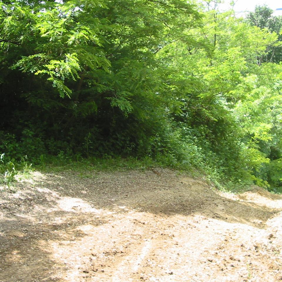 206.JPG