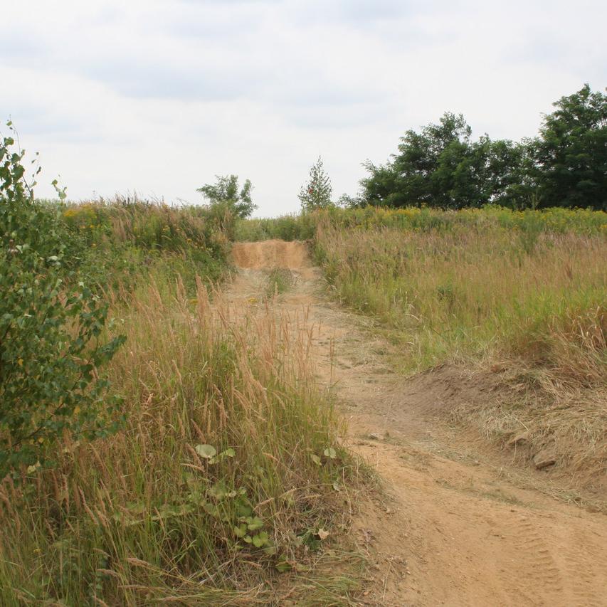 119.JPG