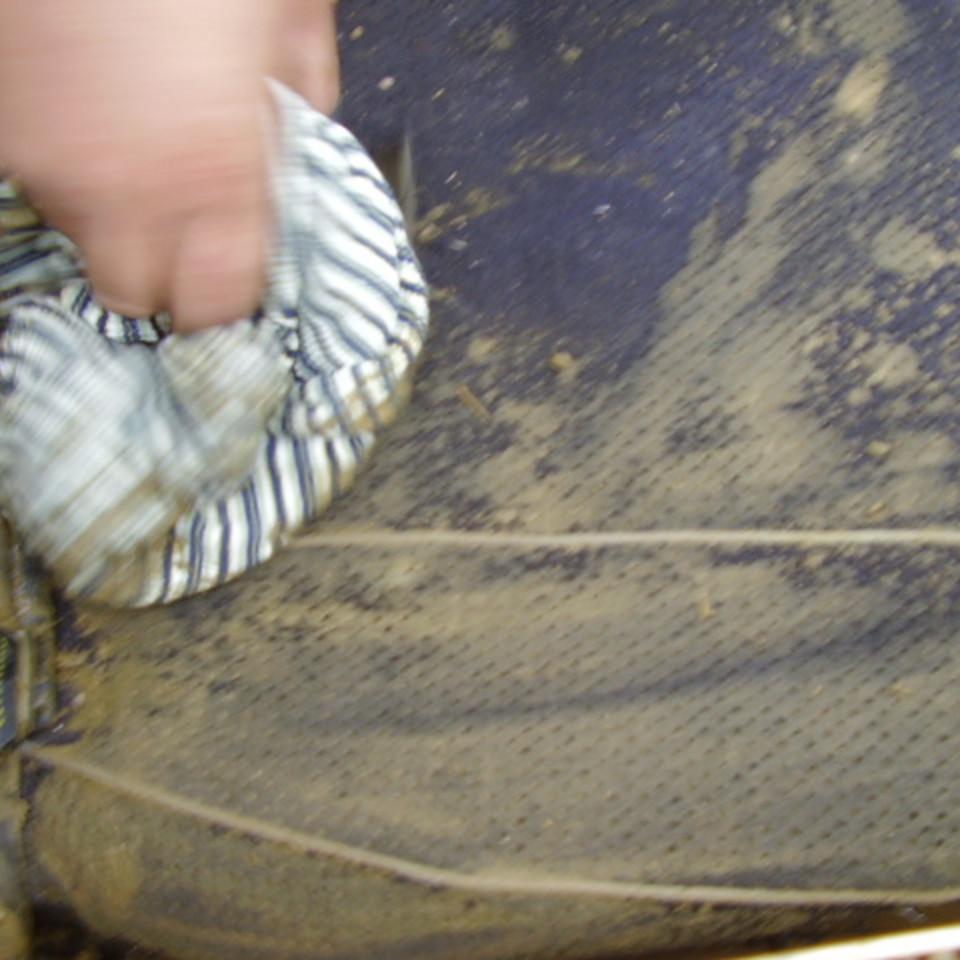 186.JPG