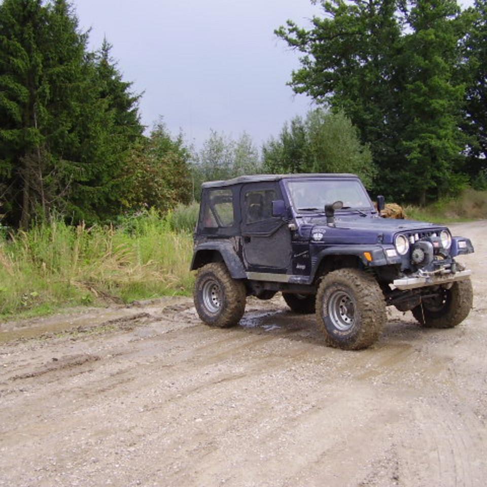 255.JPG