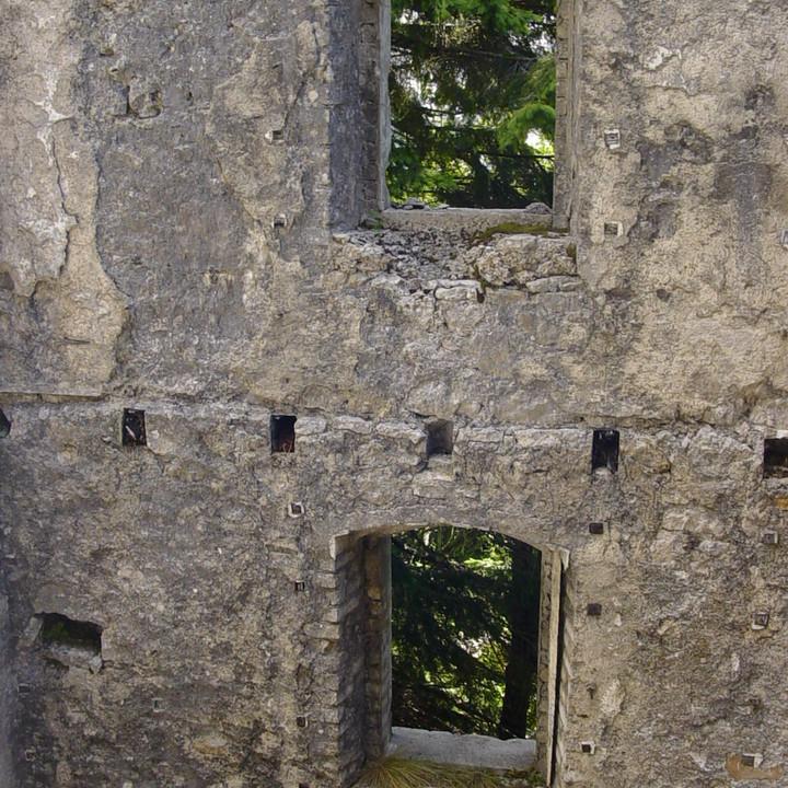 131.JPG