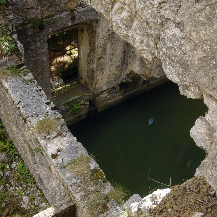 132.JPG