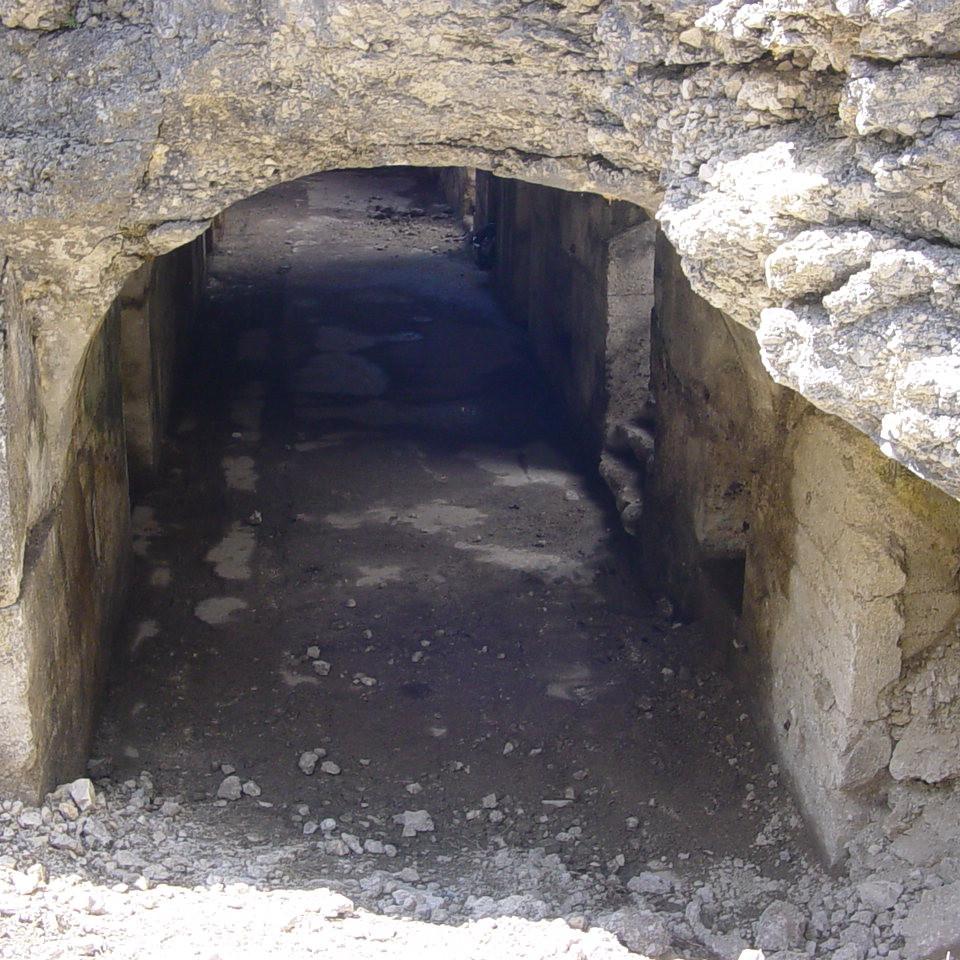 134.JPG