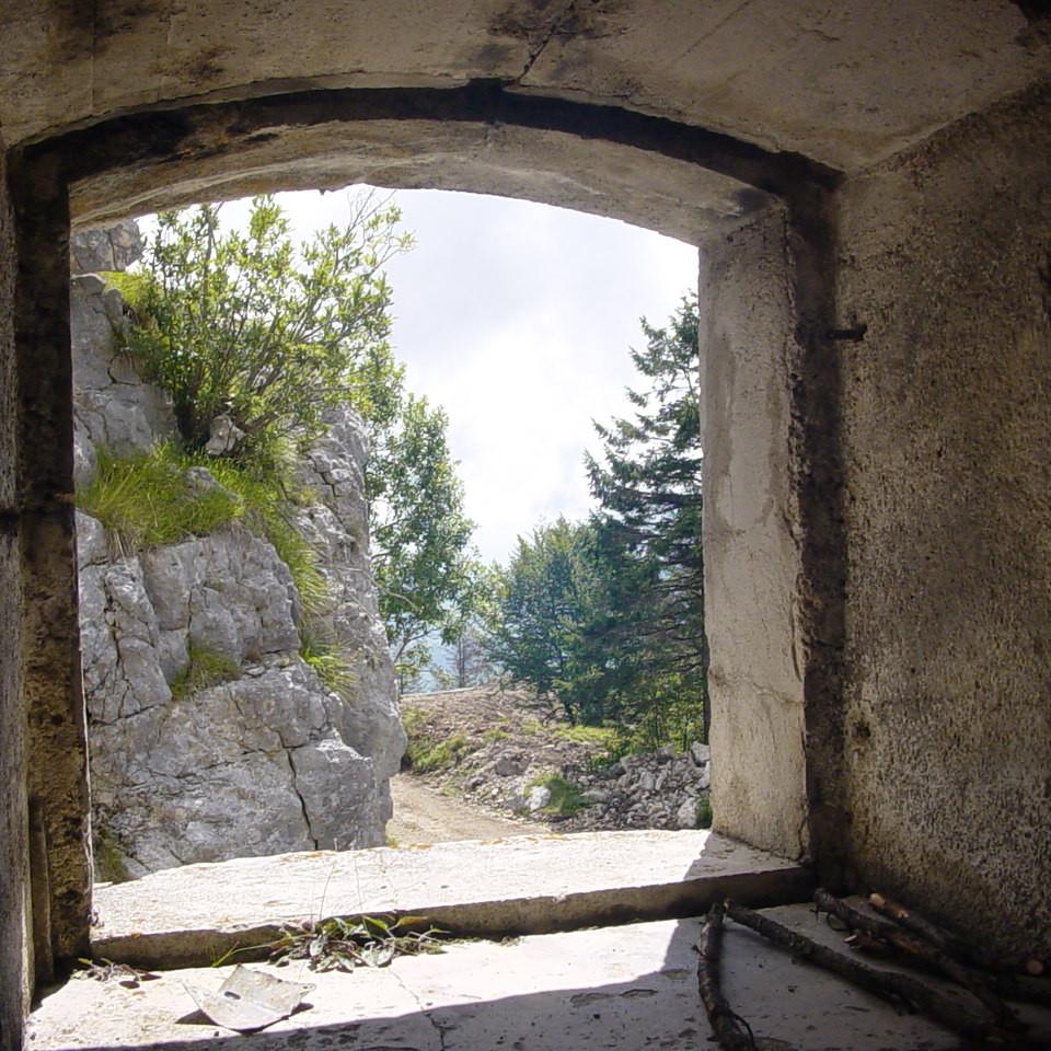 135.JPG