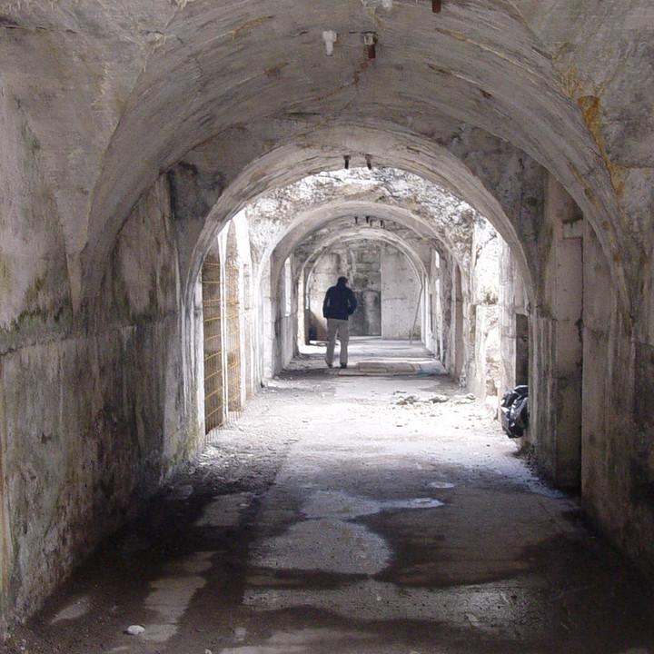 137.JPG