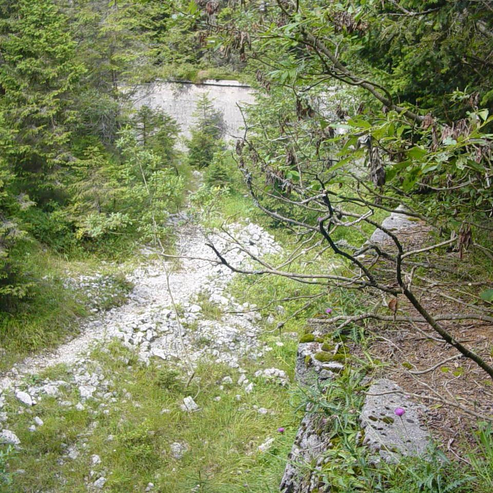 149.JPG
