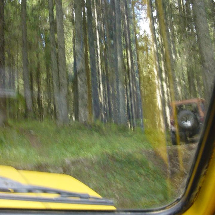 161.JPG