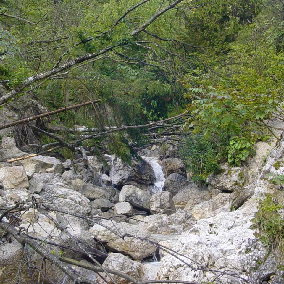 185.JPG