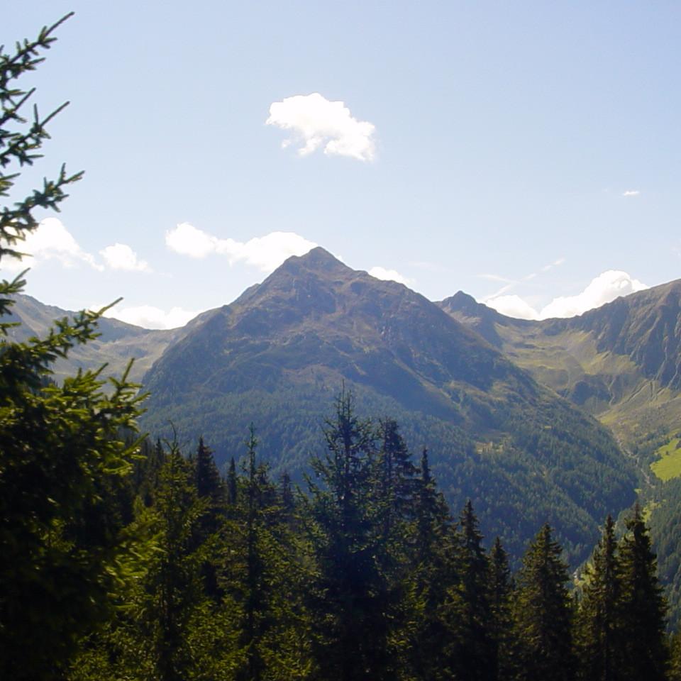 219.JPG