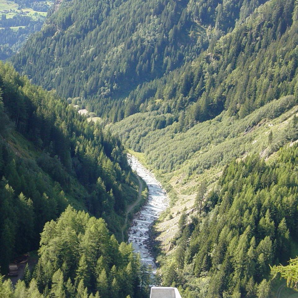 220.JPG