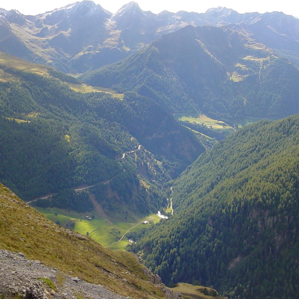226.JPG