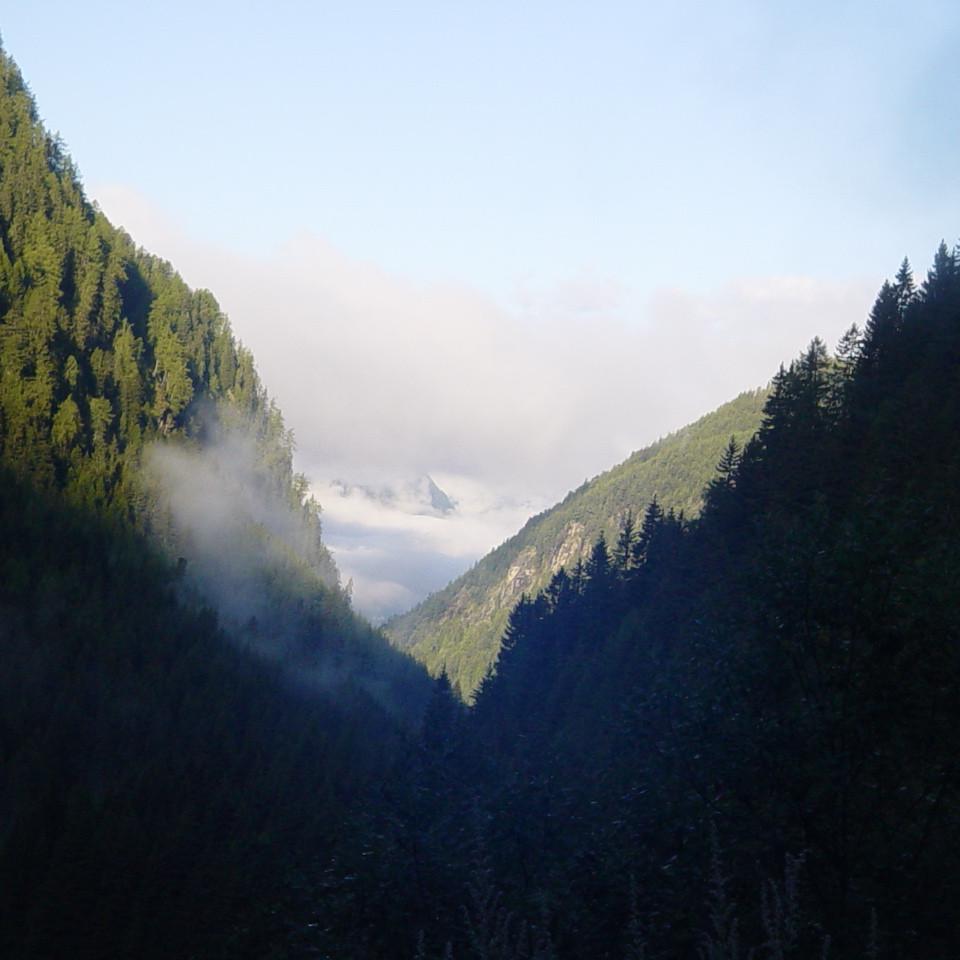 252.JPG