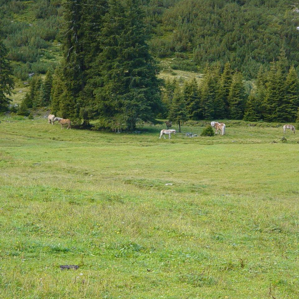 254.JPG