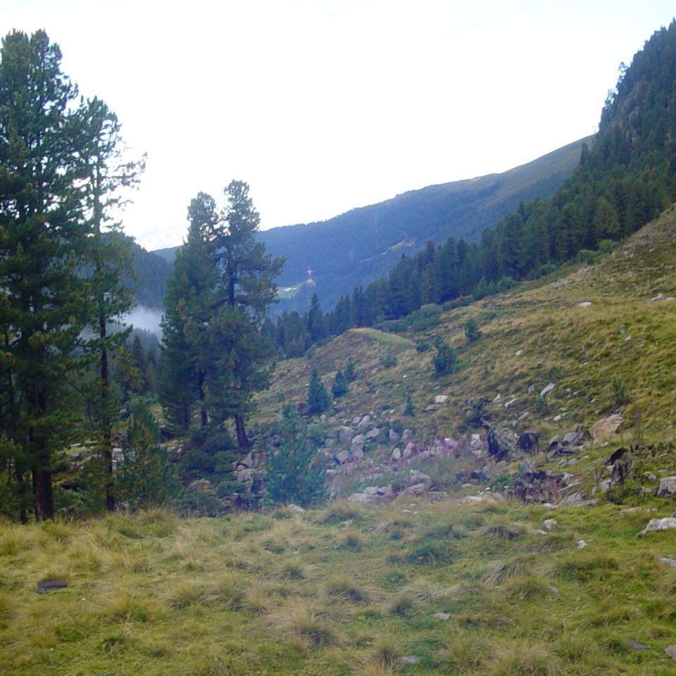 257.JPG