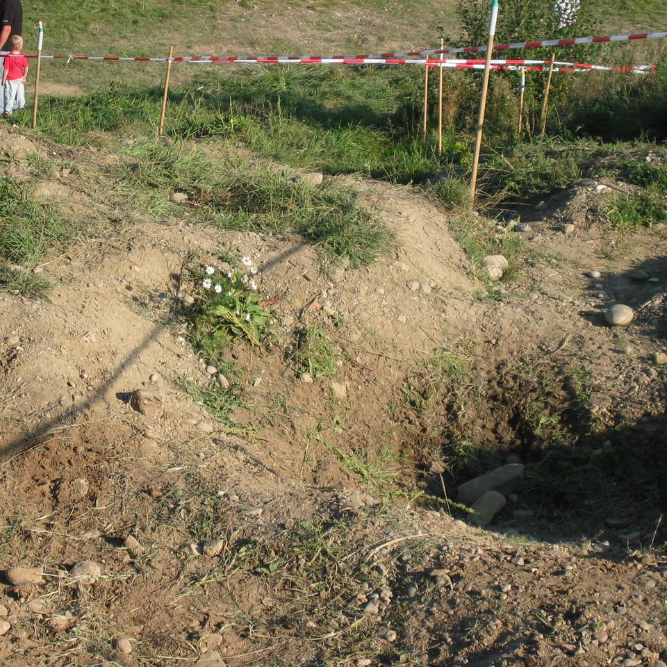 146.jpg