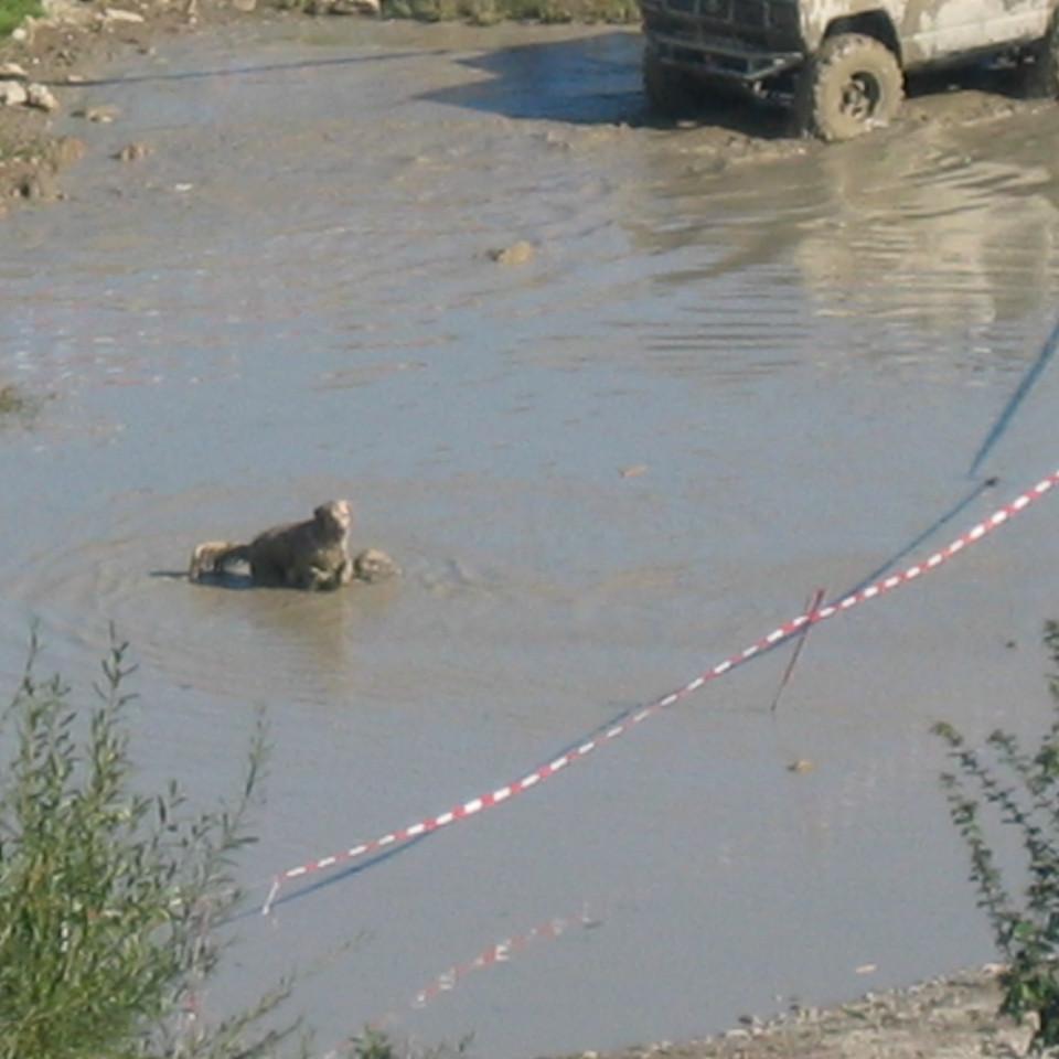 167.jpg
