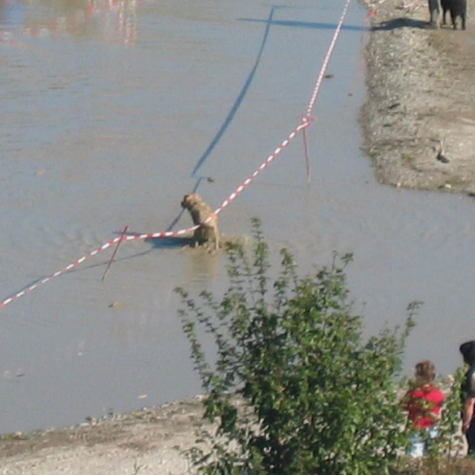 168.jpg