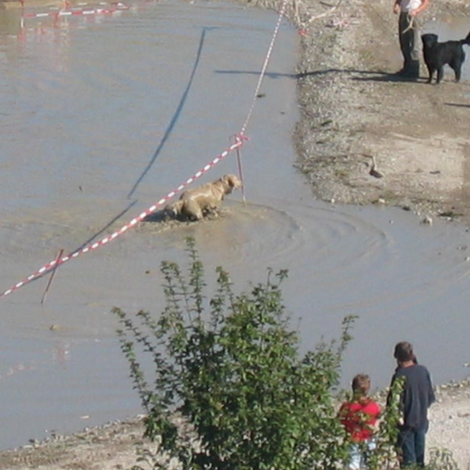 170.jpg