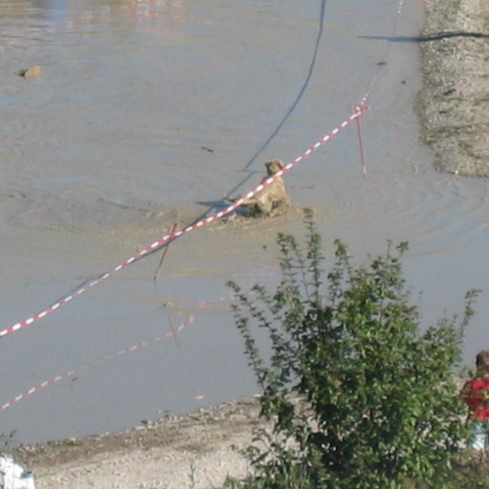 171.jpg