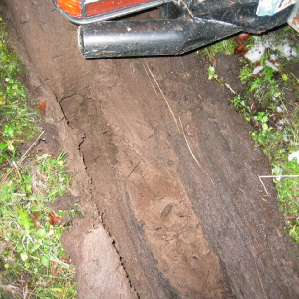 161.jpg