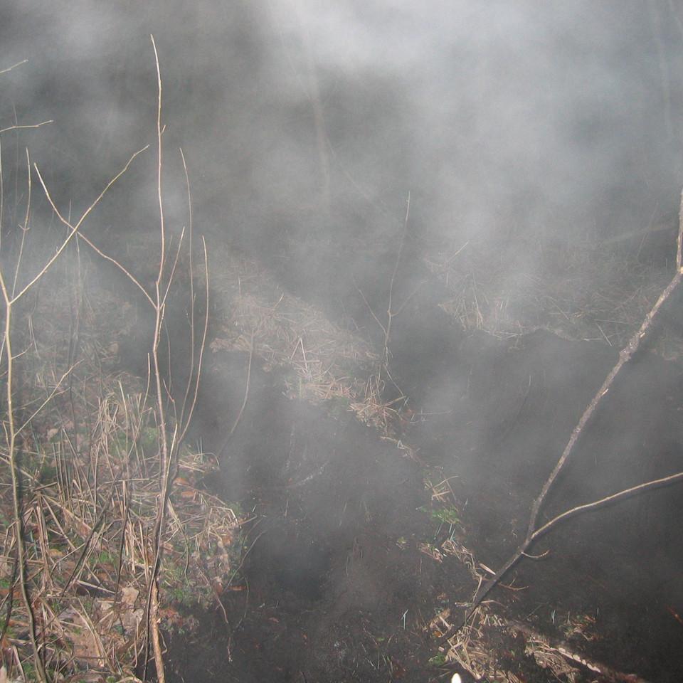 116.jpg
