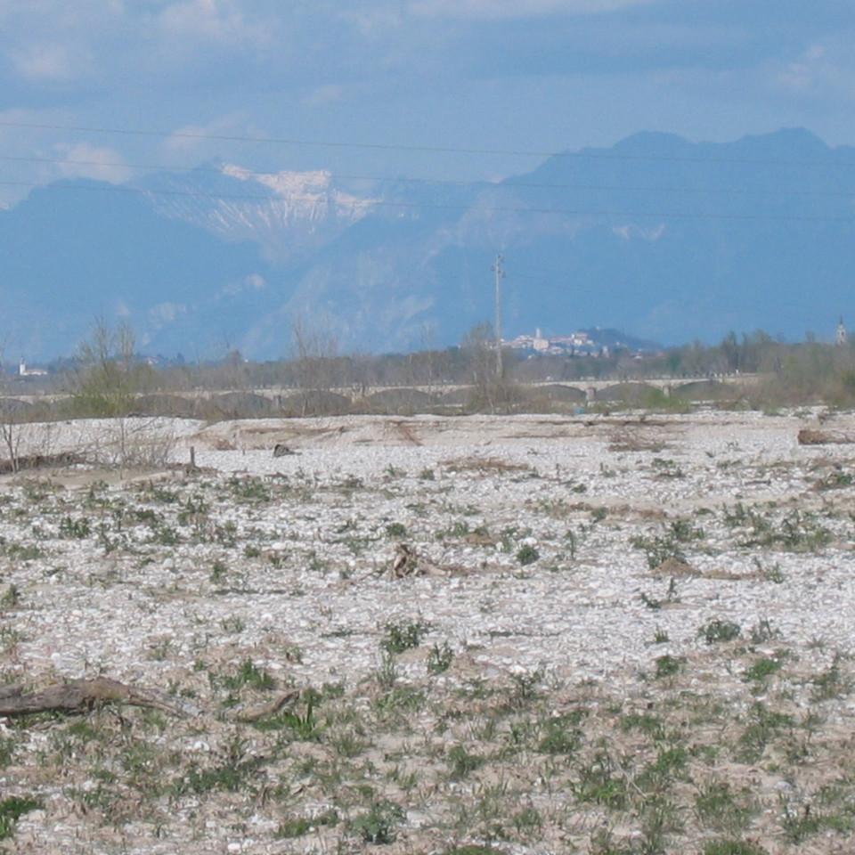 104.jpg