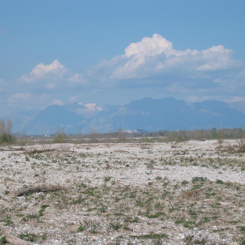 105.jpg
