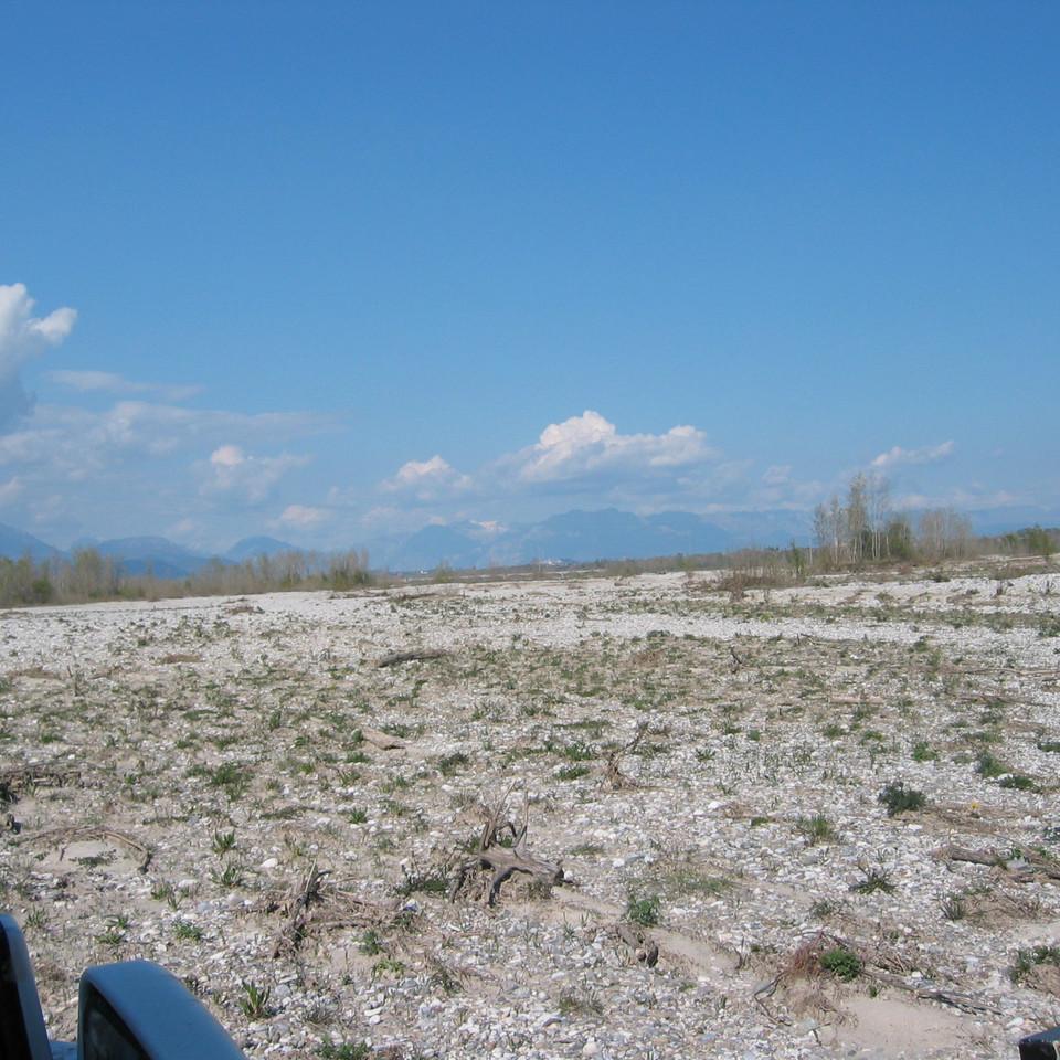 103.jpg