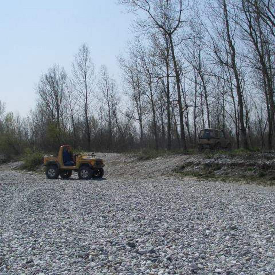 294.JPG