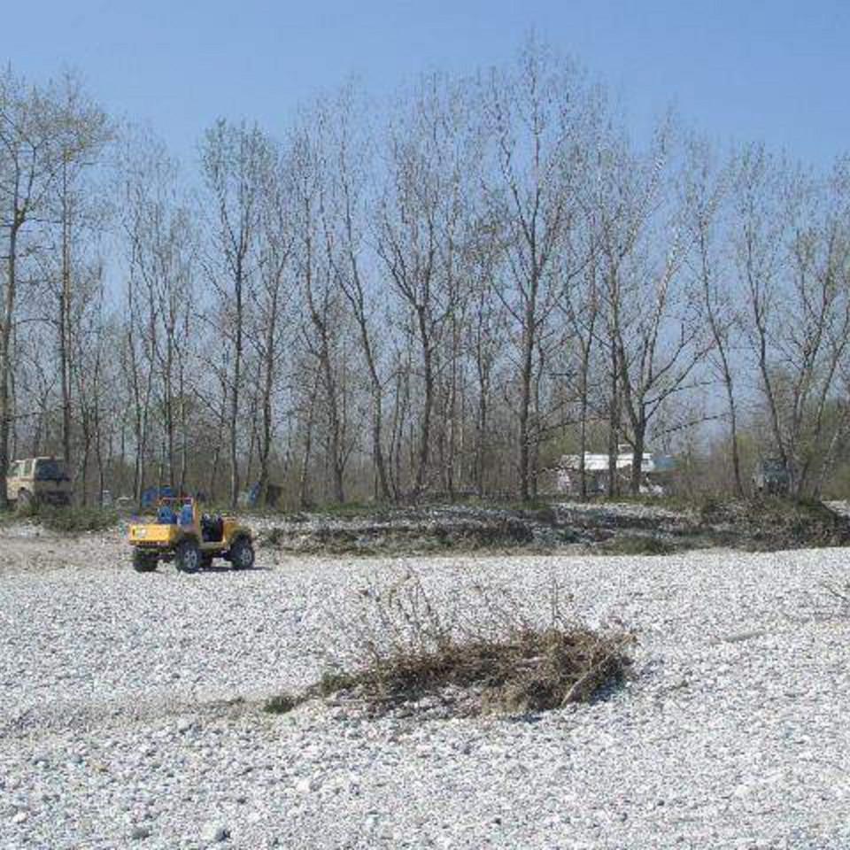 293.JPG