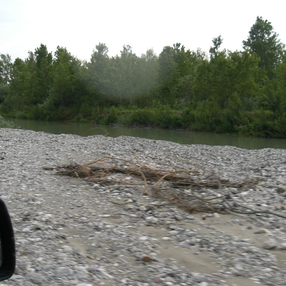 121.JPG