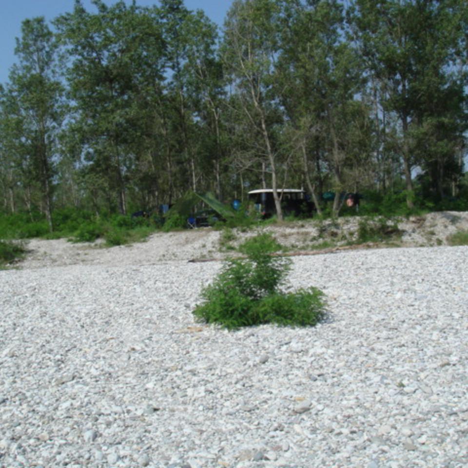 149.JPG