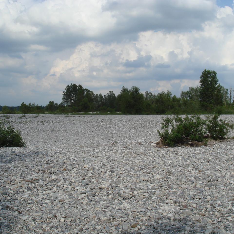 169.JPG