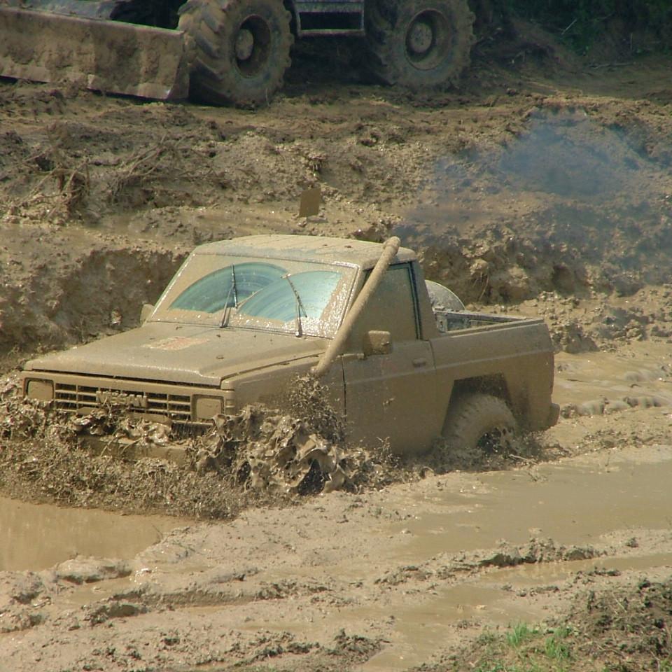 137.JPG