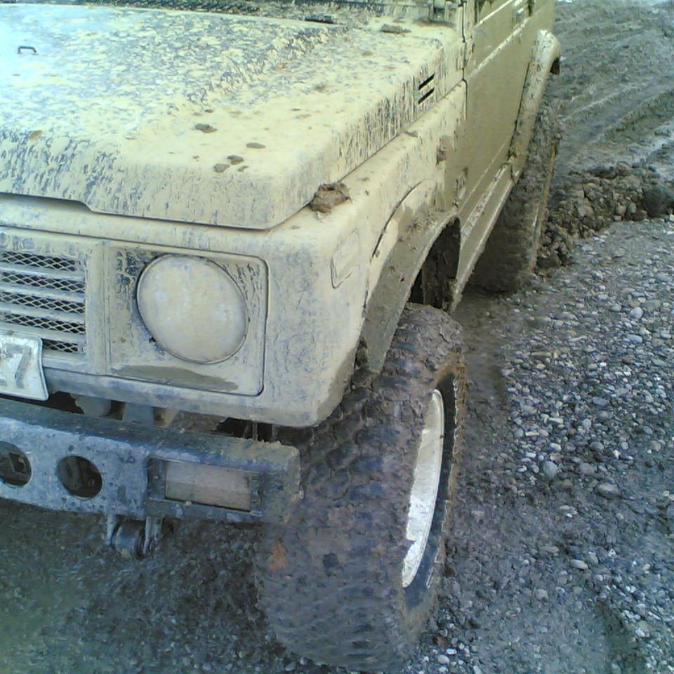131.jpg