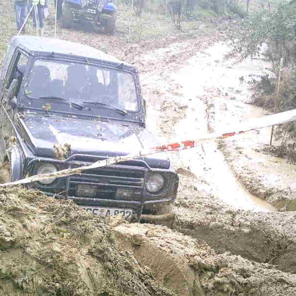184.jpg