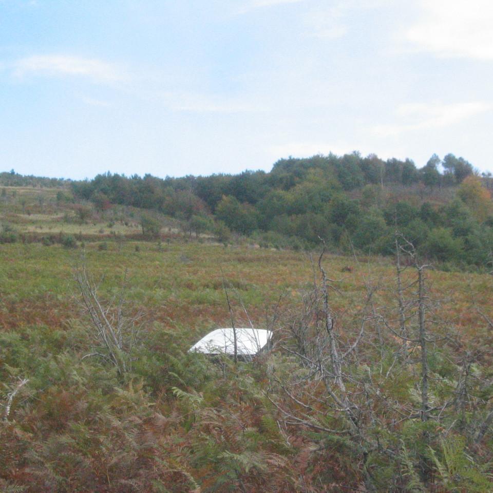 114.JPG