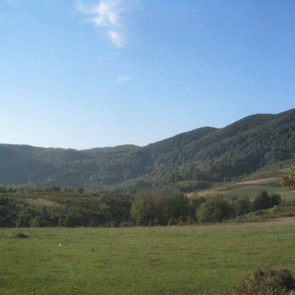 115.JPG