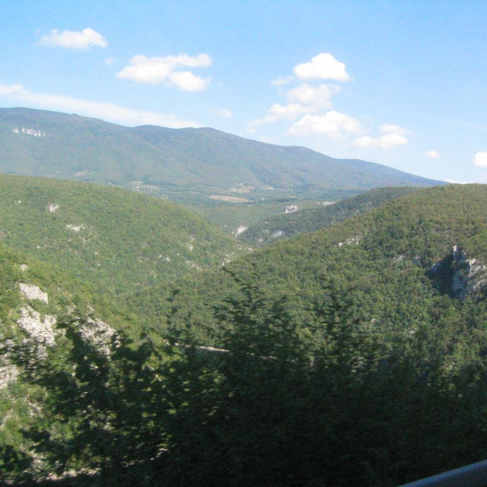 118.JPG