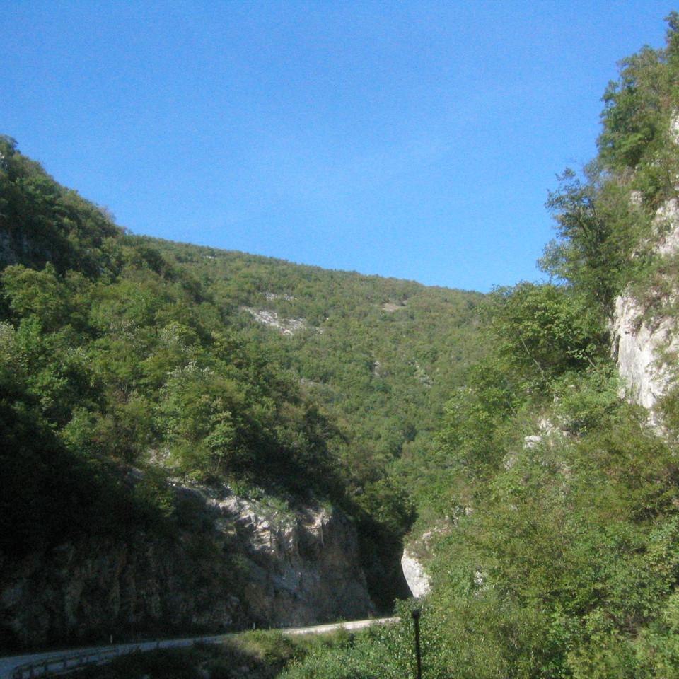 126.JPG