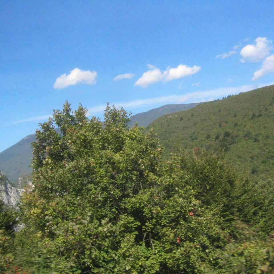 121.JPG