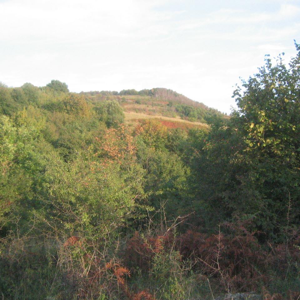 174.JPG